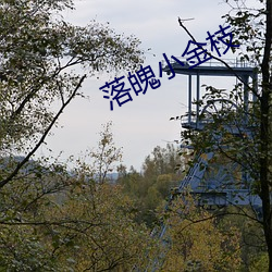 落魄(pò)小金枝