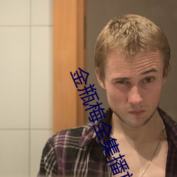 金瓶梅全集播放