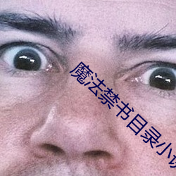 魔法禁書目錄小說