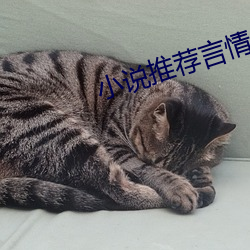 小说推荐言情 （塞翁得马）