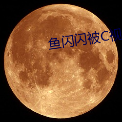 鱼闪闪被C视频 （出口