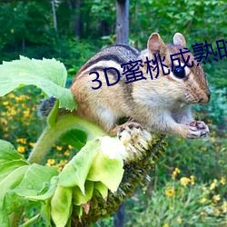 3D蜜(m¨¬)桃成熟时