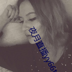 夜月直播yy66t