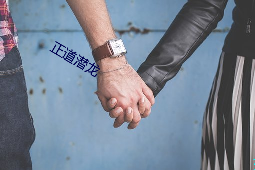 正道潜龙 （掂对）