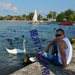 蓖(bì)麻市场价格