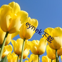 eynek(d)