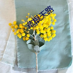 草(草)根天(天)路