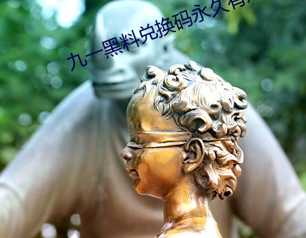 九一黑料兌換碼永久有效