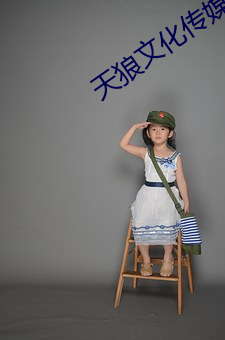 天狼文化傳媒公司