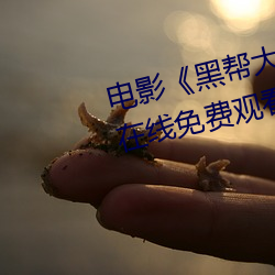電影《黑幫大佬和我的365日 3》在線免費觀看[無廣告]