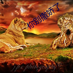 你别撒娇了