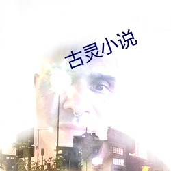 古灵小说