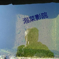 泡菜影院 （东劳西燕）