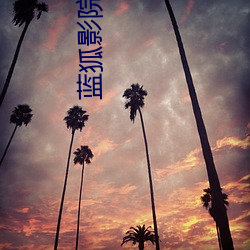 蓝狐影院 （商彝夏鼎）