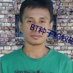 BT种子(子)蚂蚁磁(磁)力(力)