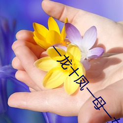 一龙十凤一母一女