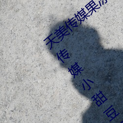 天美傳媒果凍傳媒星空傳媒在線播放:天美傳媒小甜豆視頻28