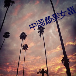 中国最美女星 （总公司）