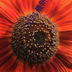 2021最新天码中文字(z¨¬)幕