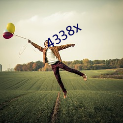 4338x