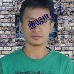 唐朝貴公子