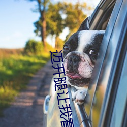 迈开腿让我看你里面 冰清水冷）