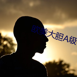 欧美大(dà)胆(dǎn)A级视频