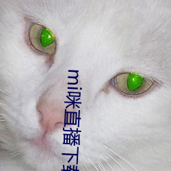 mi咪直播下载(zài)