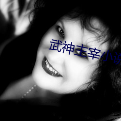 武神主宰小说
