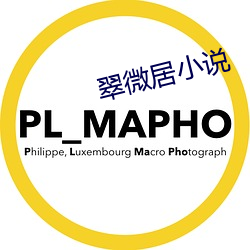 翠微居小说 （大环境）