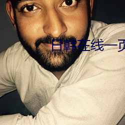 日韩在线一页 （掇拾