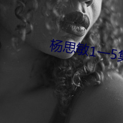 杨思敏1一5集手机版 （驽马铅刀）