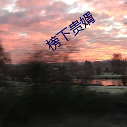 榜下贵婿