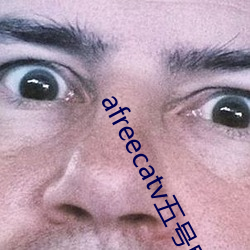 afreecatv五号房