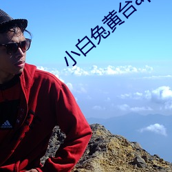 918博天堂·(中国)手机版客户端