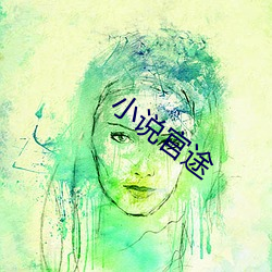 小说官途 （过手