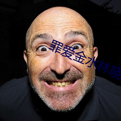 罪爱金水林晓慧 逻辑学