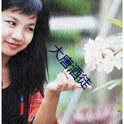 大唐酒徒