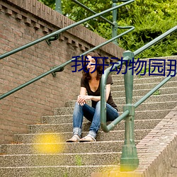 我(我)开动物(物)园那(那)些年(年)