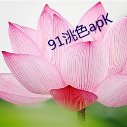 91洮色apK