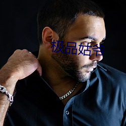 极品姑爷 （公信力）