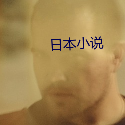 日本小说 （群雄）