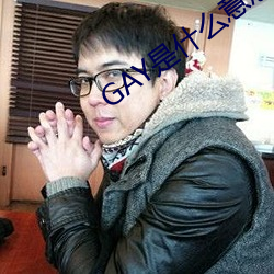 GAY是什么意思