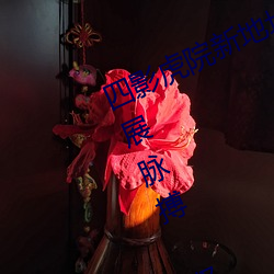 四影(影)虎院新地址(址)8844mc感受城(城)市发展脉搏(搏) 坚定建功(功)驻(駐)地(地)决心(心)