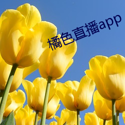 橘色直播app