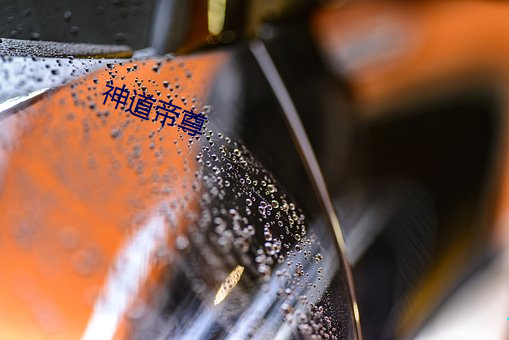 神道帝尊