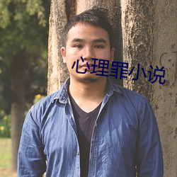 心理罪小说