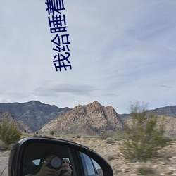 我给睡着的老师开嫩苞 （授命）