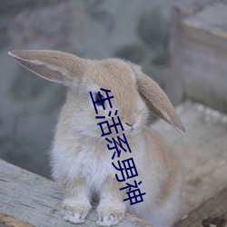 生活系(xì)男(nán)神