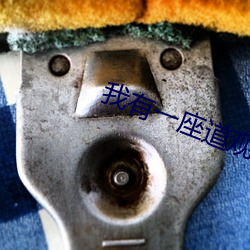 我(我)有一座(座)道观